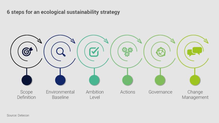 6 steps for an ecological sustainability strategy