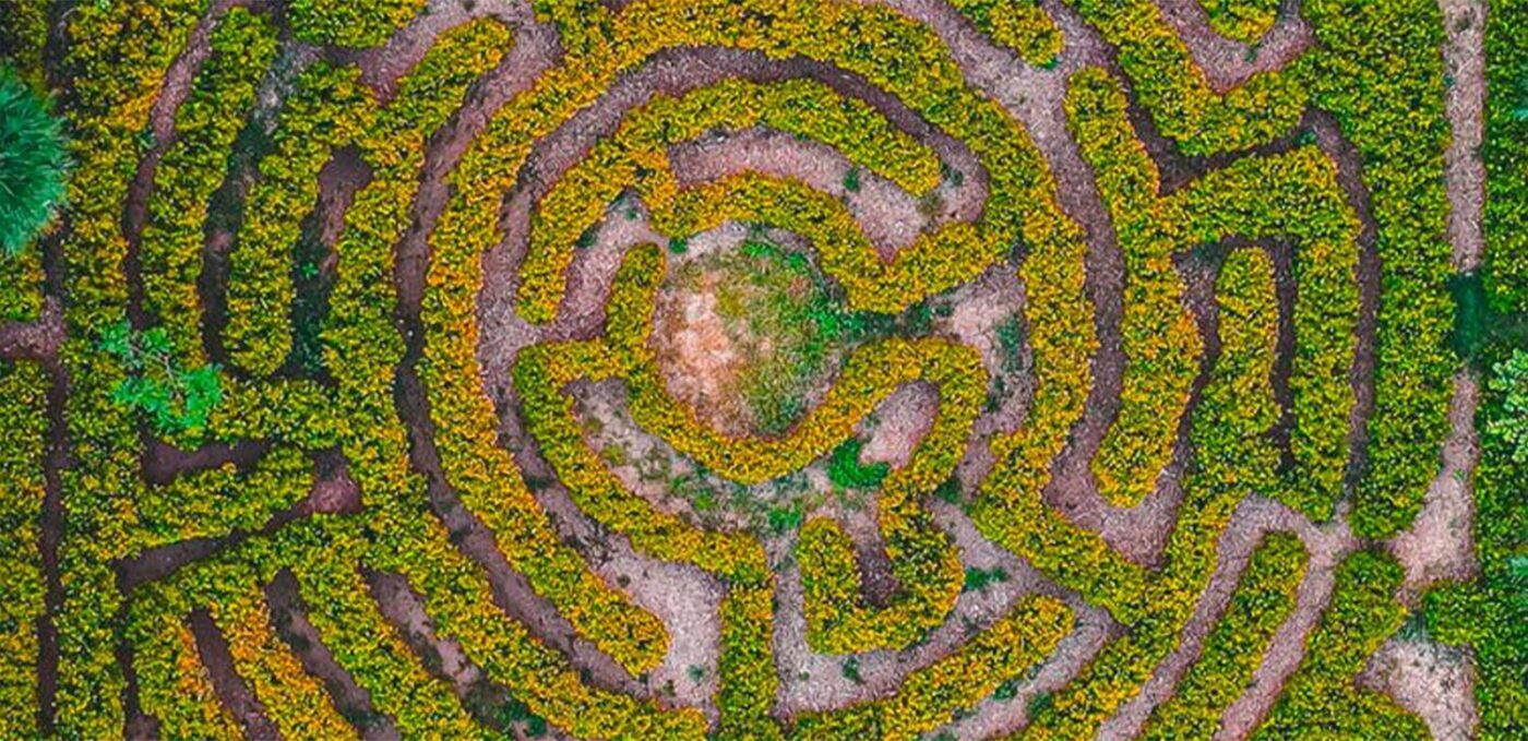 Maze from above